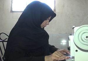 چابهار میزبان آفت ناخوانده تاکارآفرینی یک زن سرپرست خانوار +فیلم
