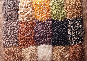 ماجرای تعجب برانگیز تسخیر بازار گل توسط بذر های خارجی یک بار مصرف + فیلم
