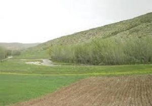 دستگیری متصرف اراضی ملی در مریوان