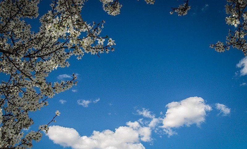 افزایش ۳ تا ۴ درجه‌ای دما تا فردا
