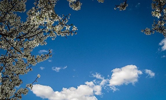 افزایش ۳ تا ۴ درجه&zwnj;ای دما تا فردا