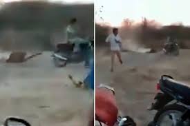 اقدام احمقانه موتورسوار در محدوده نگهداری شیرها! + فیلم///