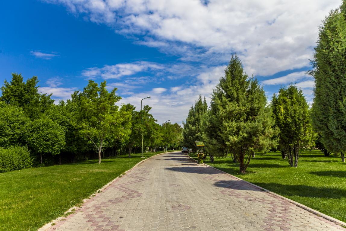لزوم حفظ تمامی پوشش‌های گیاهی در بوستان پردیسان تهران