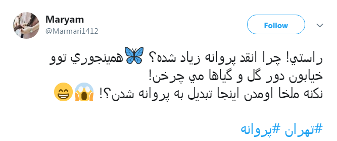 نكنه ملخ&zwnj;ها اومدن اينجا تبديل به پروانه شدن؟!