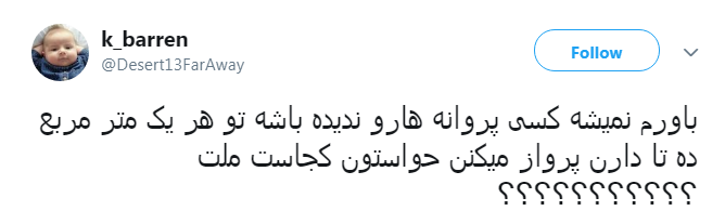 نكنه ملخ&zwnj;ها اومدن اينجا تبديل به پروانه شدن؟!