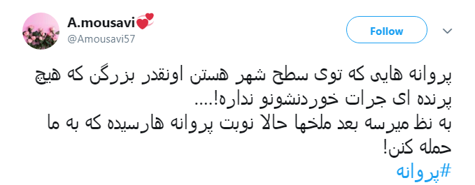نكنه ملخ&zwnj;ها اومدن اينجا تبديل به پروانه شدن؟!
