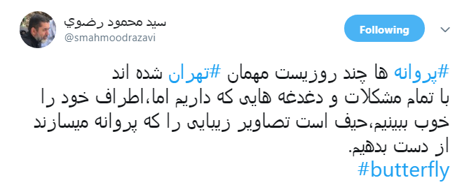 نكنه ملخ&zwnj;ها اومدن اينجا تبديل به پروانه شدن؟!