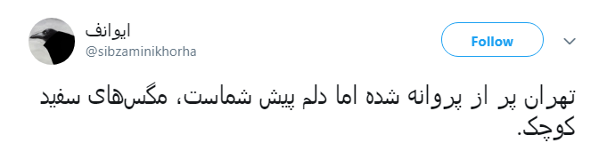 نكنه ملخ&zwnj;ها اومدن اينجا تبديل به پروانه شدن؟!