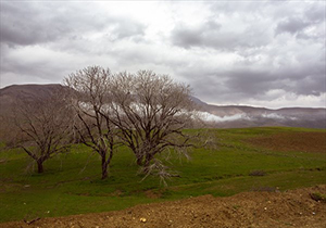 پیش بینی رگبار باران و وزش باد