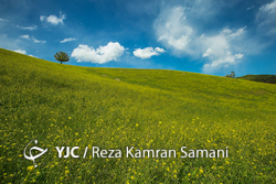 طبیعت پاییزی جنگل سیاه بیشه