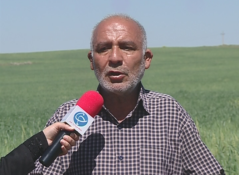 وقف زمین زراعی در زنجان