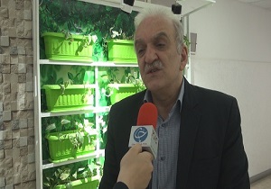 نه به معلولیت با آزمایشات ژنتیکی