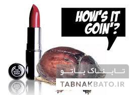 بسته&zwnj;های غذایی نشان دهنده چیست؟