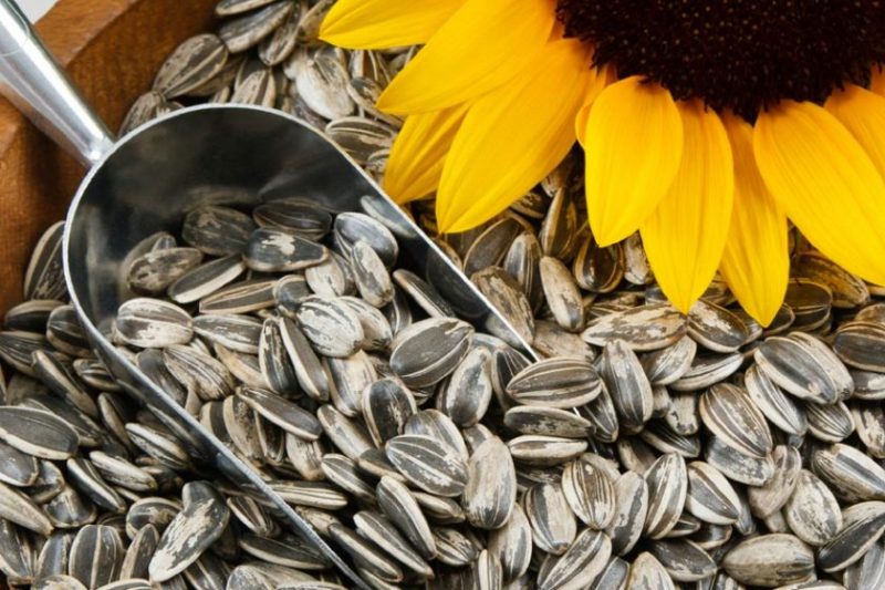 برای داشتن پوستی سالم چه بخوریم؟/ مواد غذایی که سلامت پوست شمارا تامین میکنند