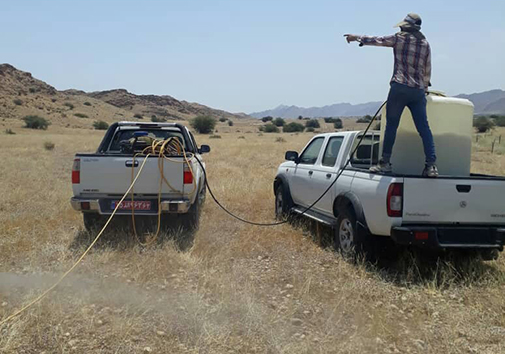 آغاز مبارزه زمینی با پوره ملخ صحرایی در قیروکارزین