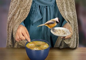 مردم خیر بافق بیش از یک میلیارد تومان به نیازمندان کمک کردند