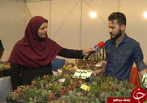 زیبا و فریبا/ گل هایی با نامی نا آشنا