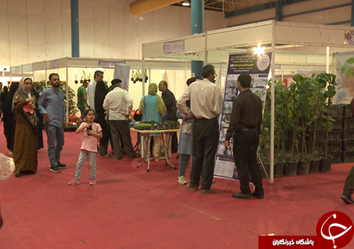 زیبا و فریبا/ گل هایی با نامی نا آشنا