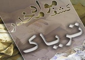 کشف بیش از ۱۱ کیلو گرم مواد مخدر در قزوین