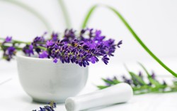 پیش بینی برداشت ۶ هزار و ۴۰۰ تن گیاه دارویی