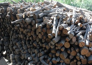 کشف ۱۳۷ تن چوب قاچاق در استان اصفهان