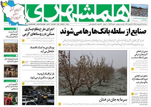 سرما به جان درختان