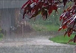 جنوب بیرجند رکورددار بارش‌ها در خراسان جنوبی