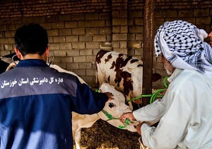 مستقر شدن گروه های دامپزشکی سایر استان ها در خوزستان