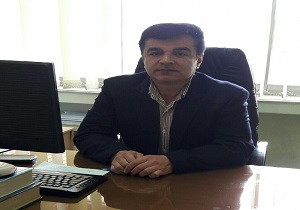 فعالیت ۹۹ شبکه مراقبت در قزوین برای پایش و ردیابی آفت سن غلات