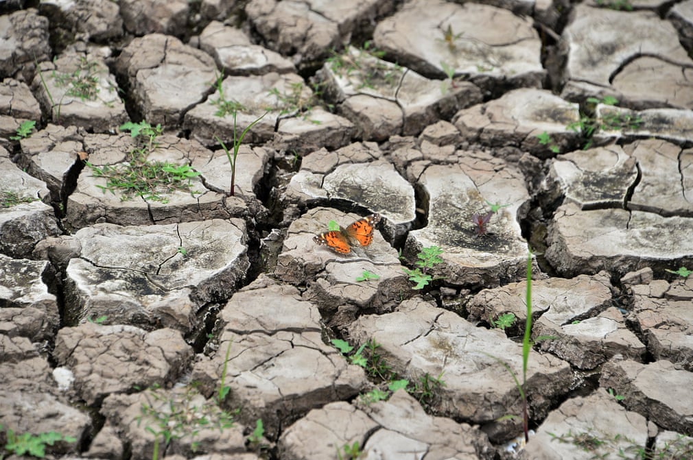 تصاویر روز: از وقوع آتش سوزی در انگلیس تا اجرای نمایش گروه کُر نیروی دریایی چین