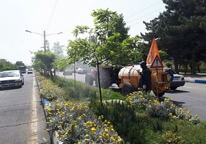 آغاز سمپاشی و رفع عیوب احتمالی درختان