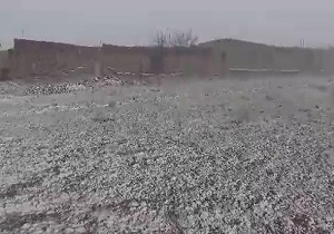 ب