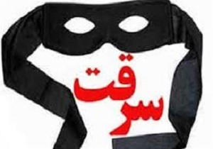 شگرد عجیب سارقان برای دزدیدن گوشی تلفن همراه و جواهرات زنان