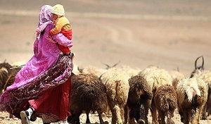 ورود عشایر به اصفهان با رعایت تقویم کوچ