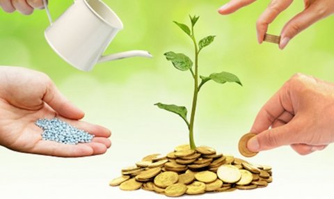 در حمایت از رونق تولید دست سرمایه گذاران را می&zwnj;بوسیم