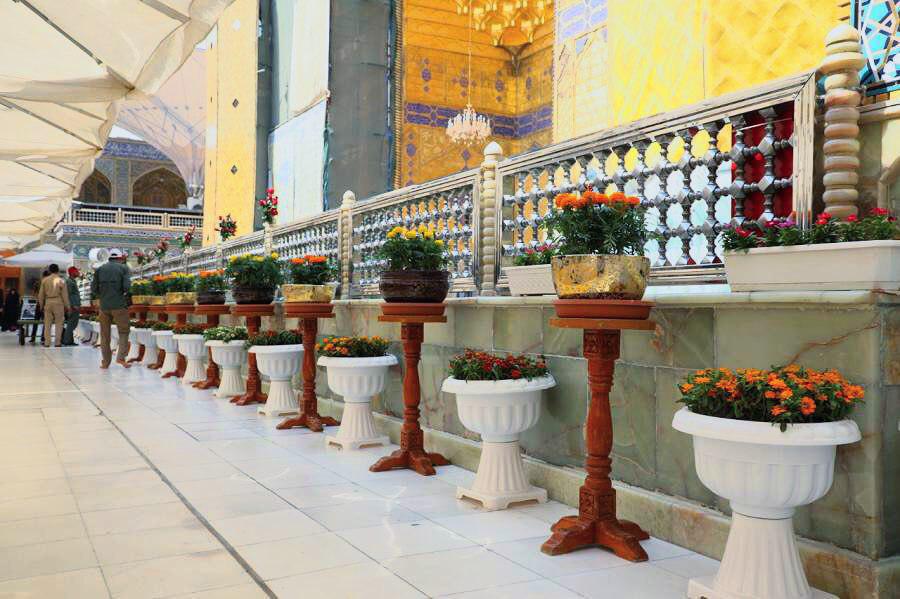گل&zwnj;کاری حرم امیرالمومنین(ع) در آستانه ولادت کریم اهل بیت(ع)