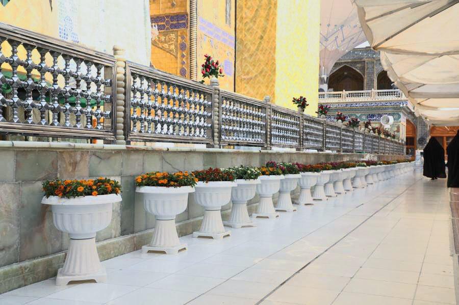 گل&zwnj;کاری حرم امیرالمومنین(ع) در آستانه ولادت کریم اهل بیت(ع)