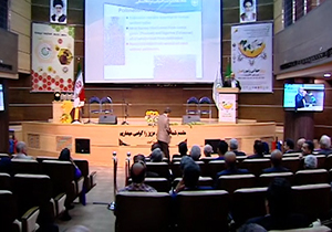 روزی برای بزرگداشت زنبور عسل + فیلم