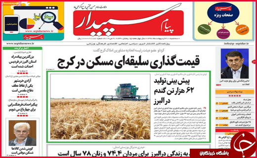 خیال خام پلنگ/