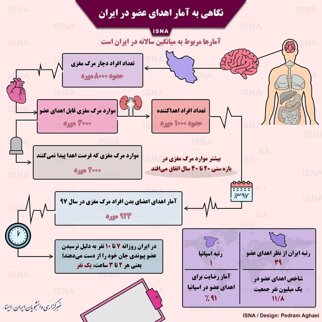 نگاهی به آمار اهدای عضو در ایران + اینفوگرافیک