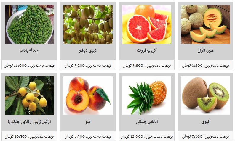قیمت انواع میوه در غرفه تره بار/ توت سیاه به کیلویی ۱۱ هزار تومان رسید