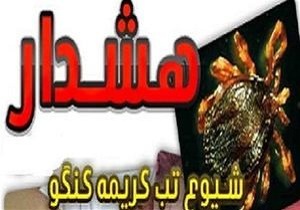 آخرین جزئیات مرگ زن ۱۹ ساله در یزد/ مرگ بیمار مبتلا به تب کریمه کنگو تایید شد