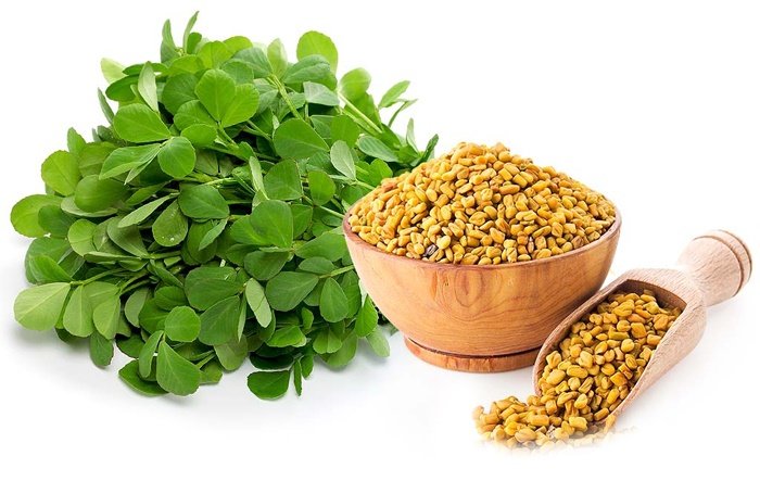 ایا عصاره شنبلیله را موثر در درمان زخم معده است؟ ایا عصاره شنبلیله را موثر در درمان زخم معده است؟