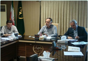 توزیع ۱۲۶ تن مرغ منجمد در استان کردستان