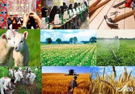 افتتاح  طرح  های اشتغالزایی در سرخس