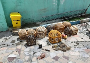 دستگیری سه متخلف در شهرستان کامیاران