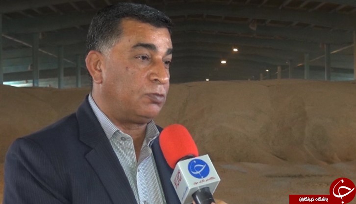 خرید ۴۰ هزار تن گندم از کشاورزان بوشهری