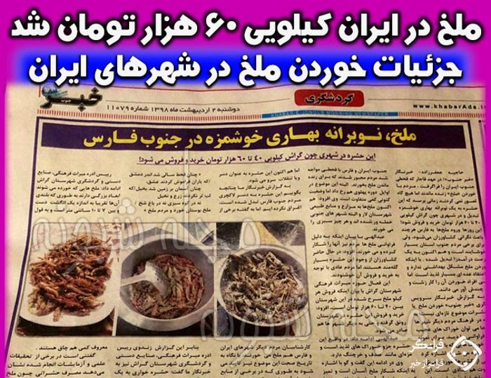 ملخ نوبرانه کیلویی ۶۰ هزار تومان! + تصاویر