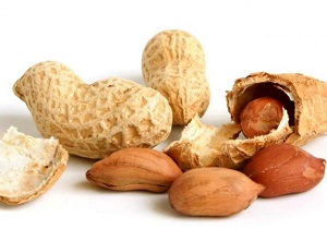 توقیف یک دستگاه تریلی با ۱۸ تن بادام زمینی قاچاق در خاتم