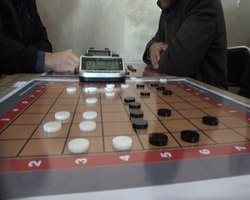 آغاز مسابقات جهانی دامه از فردا